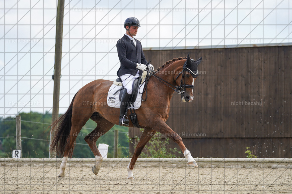 20230826-FAH05919 | Forstinning, 2023, Dressurturnier, Turniersportbilder, Turnierfotografen Bayern, Fotoagentur Herrmann, Reitsportfotografie, Turnierbilder
