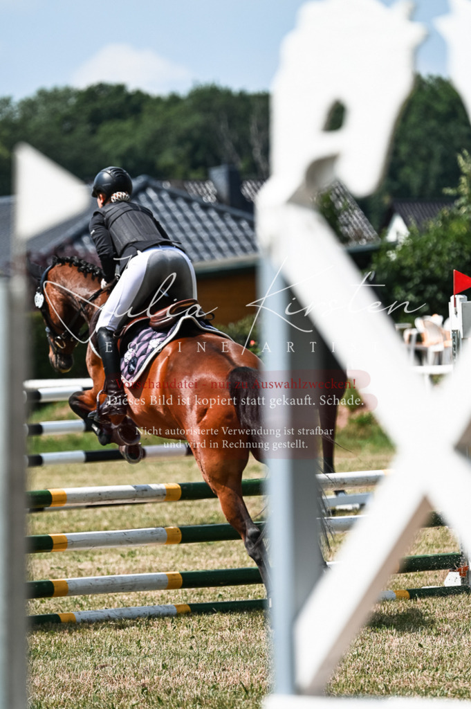 DSC_9478 | Pferde- und Turnierfotografie in Westsachsen. Pferdeportraits, Auftragszeichnungen und intuitive Kunst.