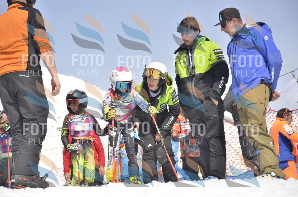 _ELE9163 | holidayphoto