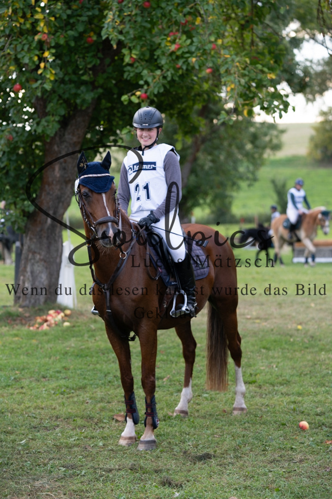A7V03124 | Turnier/Reitfotograf