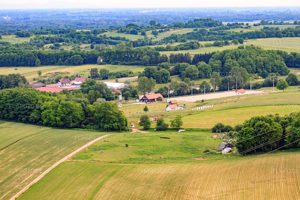 Luftbild: Haras de la Née in Mothern im Bundesland Bas-Rhin in Frankreich. – Foto: IMG_28740.jpg vom 14.06.2010 durch Werner Riehm/FLY-FOTO.de – Auflösung des Originals: 4752 x 3168 px