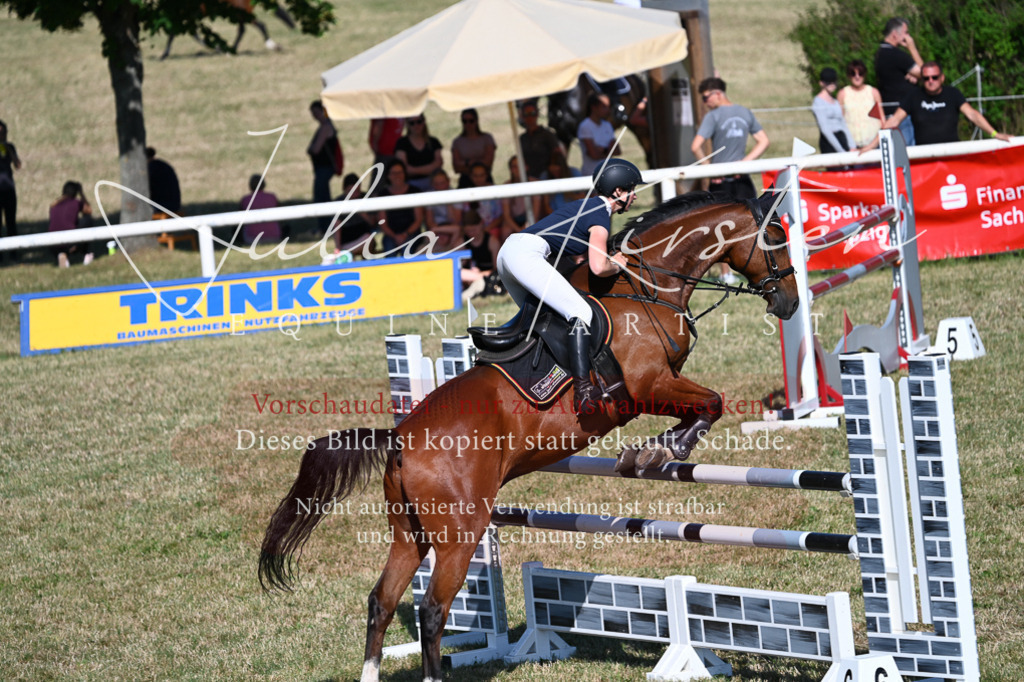 DSC_2207 | Pferde- und Turnierfotografie in Westsachsen. Pferdeportraits, Auftragszeichnungen und intuitive Kunst.