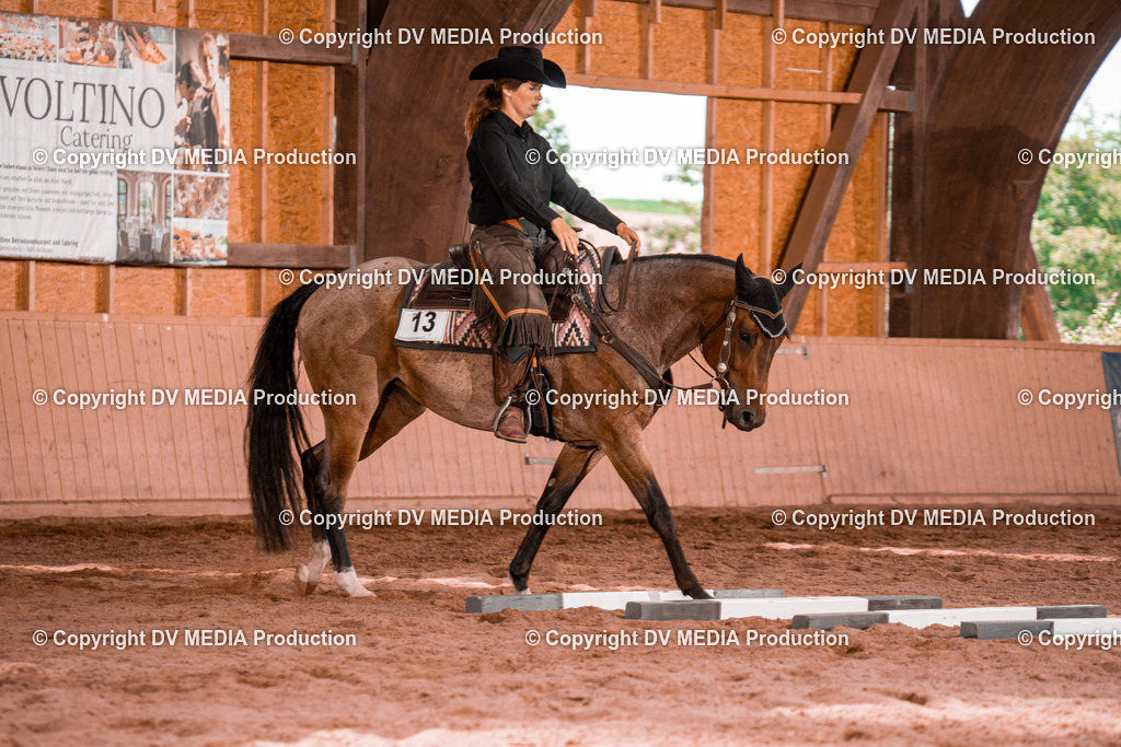 NE200542 | dv-media-shop - Realisiert mit Pictrs.com