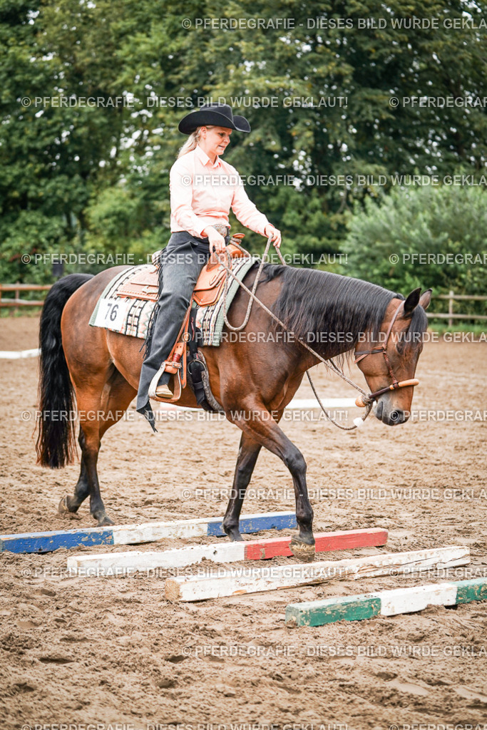 DSC03897 | Pferdegrafie