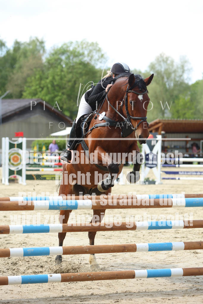 IMGM5857 | pl-fotografie