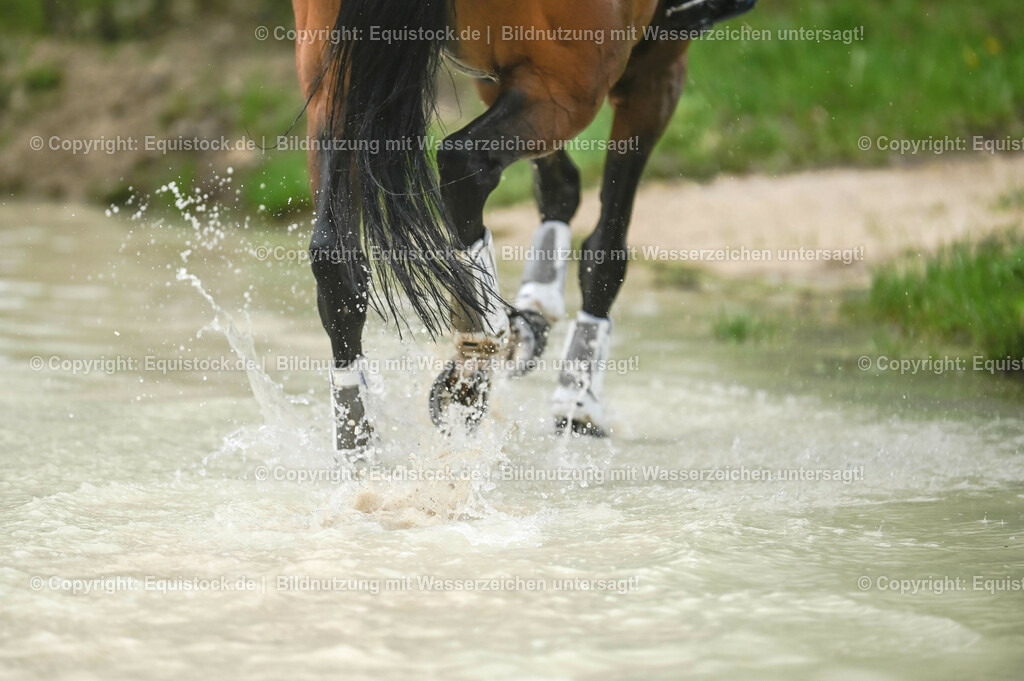 20230513_CCI4_Gelände_0264 | equistock