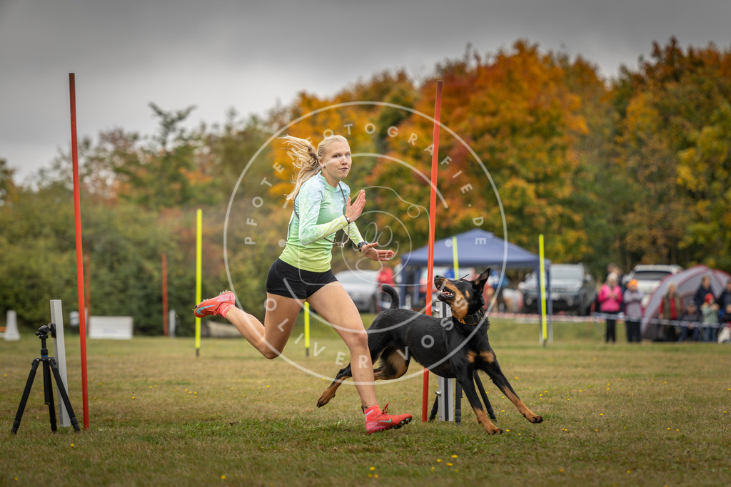 Pfotenfotografie_DV3A4170 | Hundefotografie, Tierfotograf, Pfotenfotografie, Fotoshooting Hund, Hunde Portrait, Hundesport, Hundeportraits, Heideshooting, Hunde, Sportfotograf, Hundefotograf, Turnierhundsport, THS,  - Realisiert mit Pictrs.com