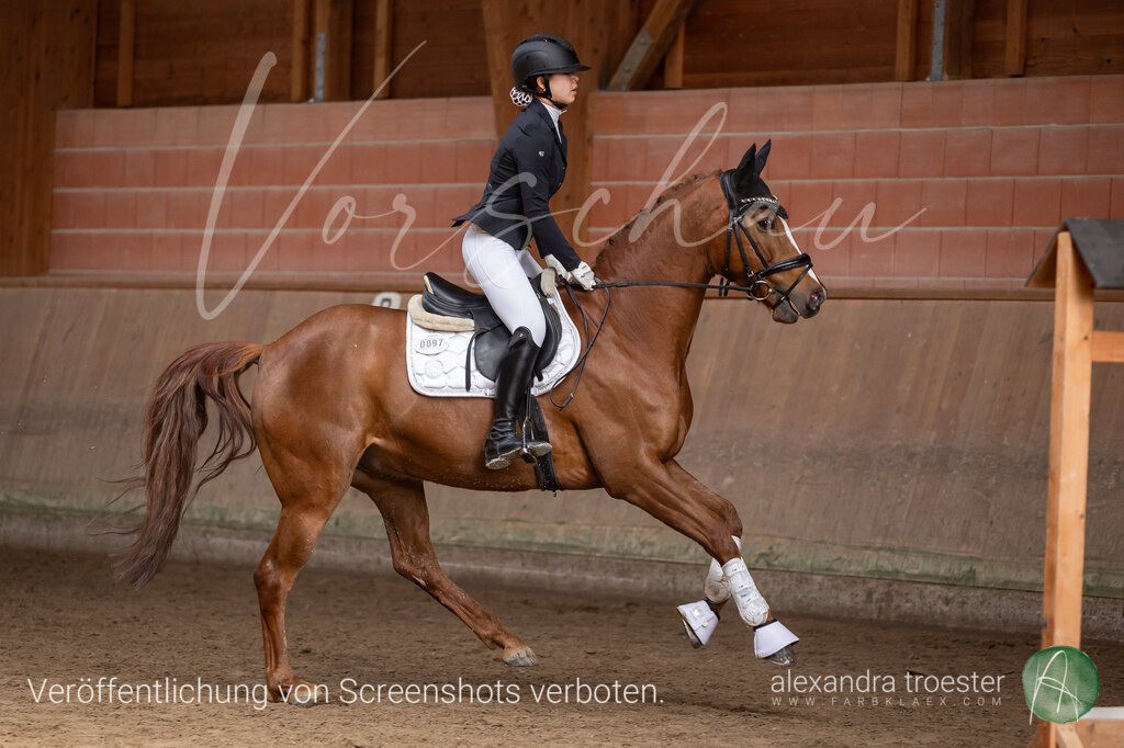 260329_Barop_15_064 | farbklaex.com