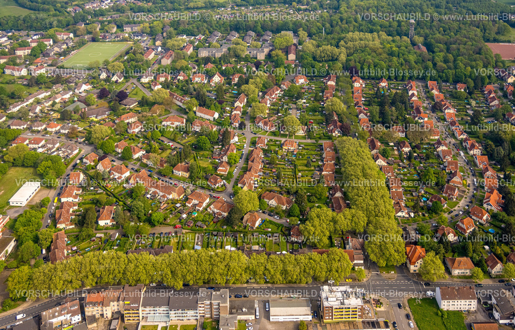 Herne240500189 | Luftbild, Zechensiedlung Teutoburgia oder Gartenstadt Teutoburgia mit roten Dächern und Baumallee, steht unter Denkmalschutz, Börnig, Herne, Ruhrgebiet, Nordrhein-Westfalen, Deutschland