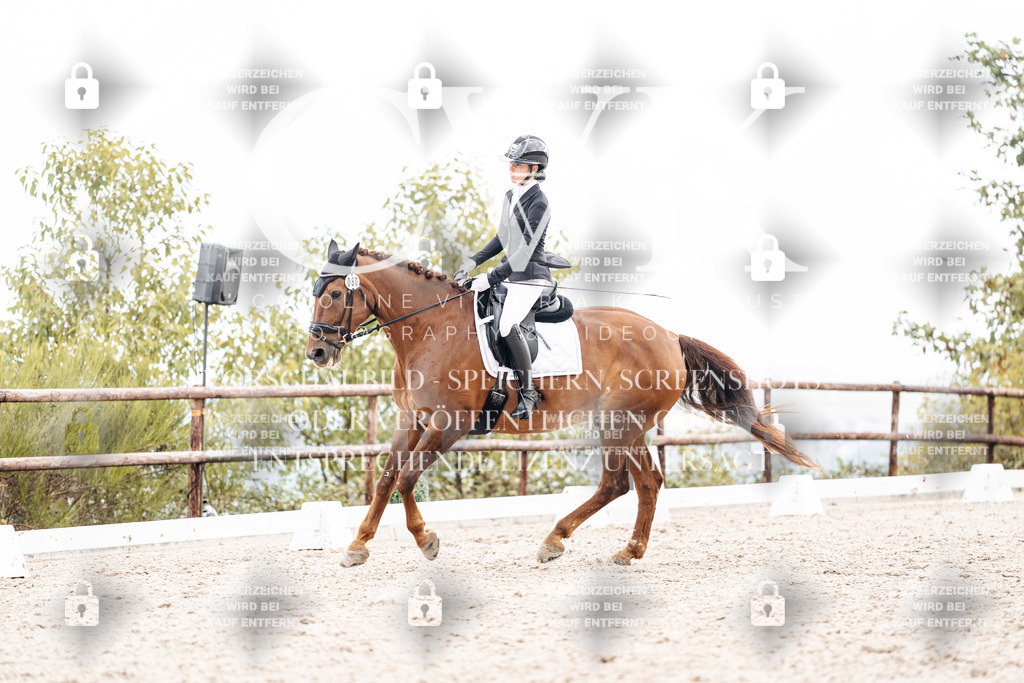 CK900846 | Turnierfotografie Pferdefotografie Trier Rheinland-Pfalz Pferdesport Reitsport Tierfotografie Sportfotografie Pferdevideo Pferdevideografie Equestrianvideography equestrianphotography  - Realisiert mit Pictrs.com