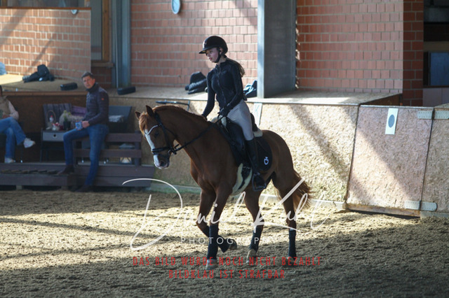 DKP42174 | Deine Turnierfotos vom Reitturnier online kaufen: Dressur, Springen & Siegerehrung. Professionelle Pferdefotografie aus dem Rheinland – als Download & Print.Alternative: Turnierfotograf für den Pferdesport: Finde deine Fotos von Dressur- und Springturnier