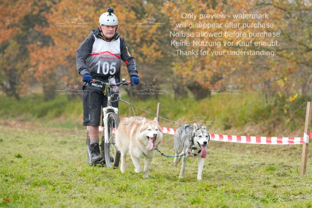 Visbeck_Sa_DS2DR2-73 | stephaniefillaphotographie - Realisiert mit Pictrs.com