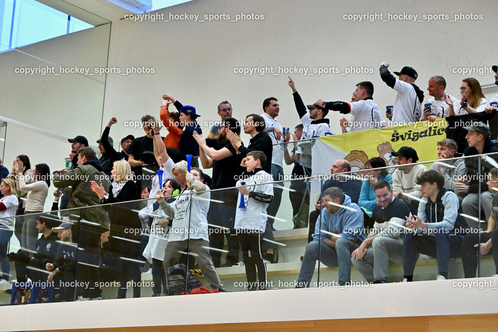 FBK Loka vs. VSV Unihockey | Wiener Floorballverein, plötzlich FBK Loka Fans, FBK Loka vs. VSV Unihockey, FBK Loka vs. VSV Unihockey am 23.03.2025 in Villach (Ballspielhalle St. Martin), Austria, (Photo by Bernd Stefan)