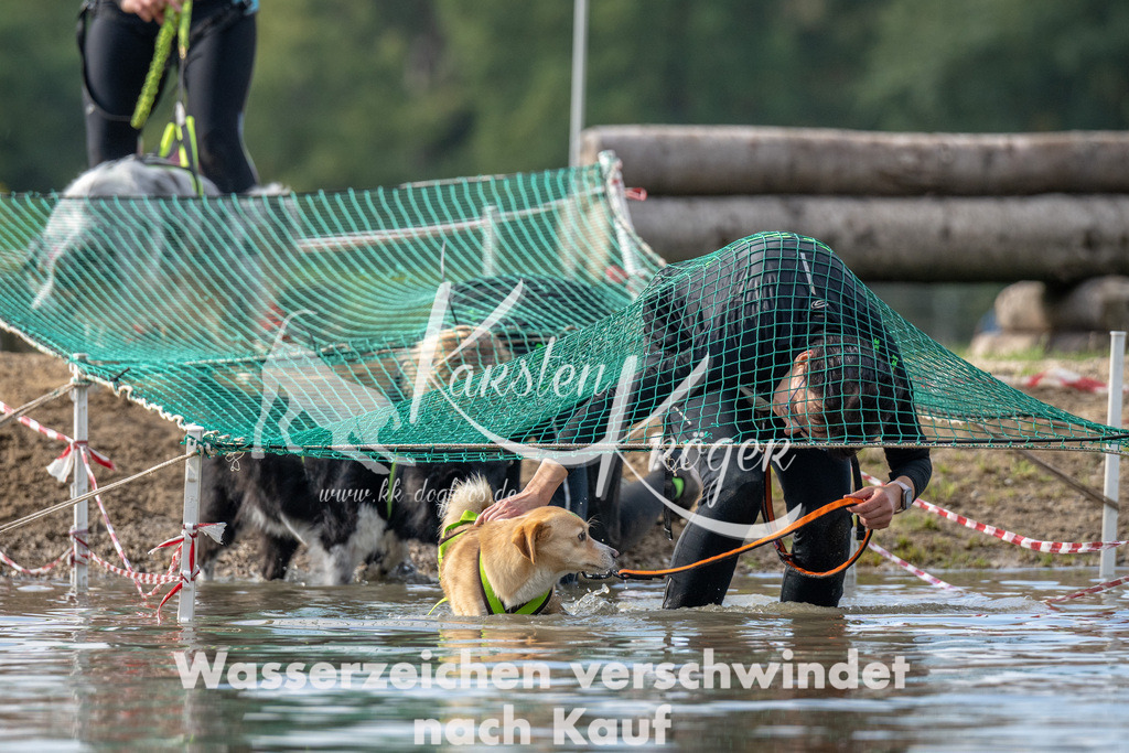 1236_ZZ92959 | kk-dogfotos