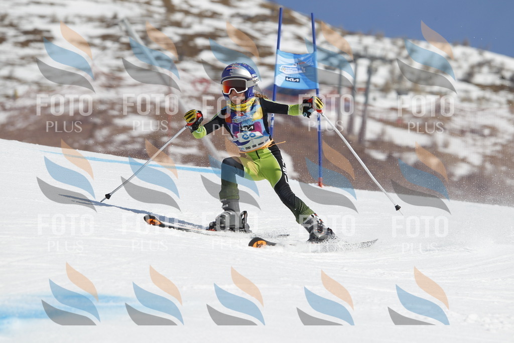 _U3G9671 | holidayphoto