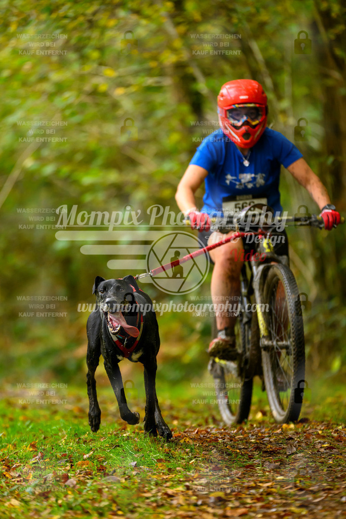 MompixPhotography_20TSB_E1_Doppel-23 | PayLife