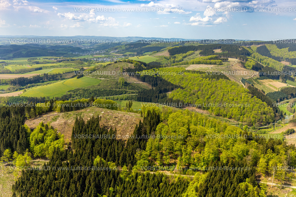Schmallenberg240505709 | Luftbild, Hügellandschaft Mischwald Waldgebiet mit Waldschäden, Kalamitätsflächen,   Massenvermehrung von tierischen und pflanzlichen Schädlingen in Pflanzenkulturen, Oberkirchen, Schmallenberg, Sauerland, Nordrhein-Westfalen, Deutschland
