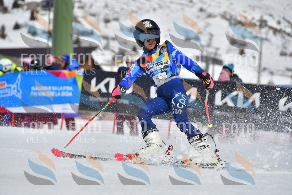 _DSC6980 | holidayphoto