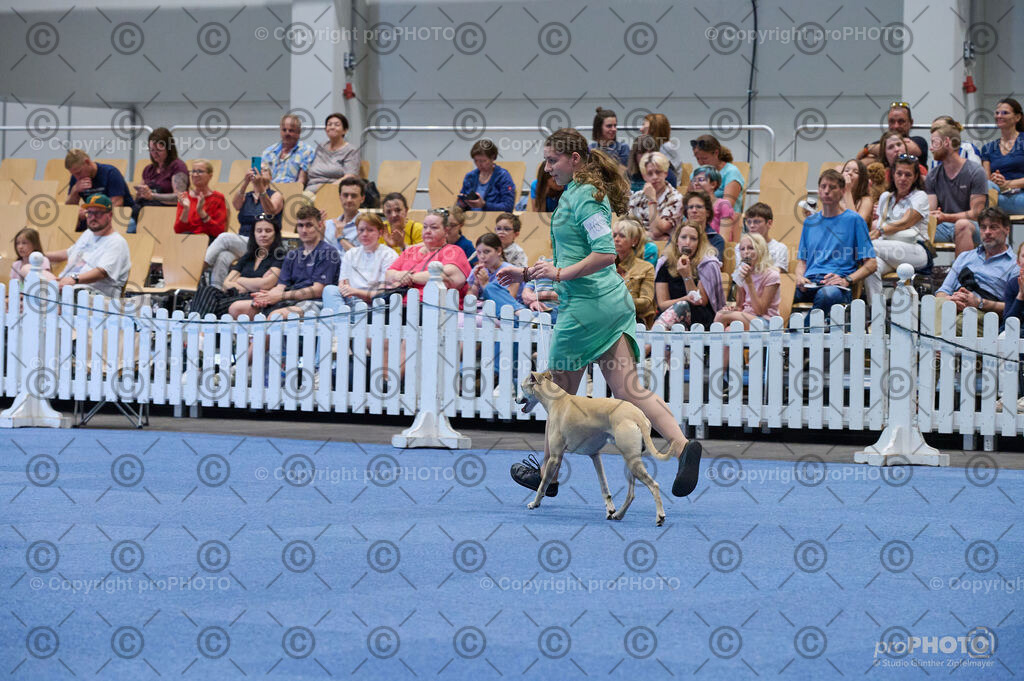 202406_ÖKV-IHA-Tulln24_DSC_4752 | proPHOTO - Realisiert mit Pictrs.com