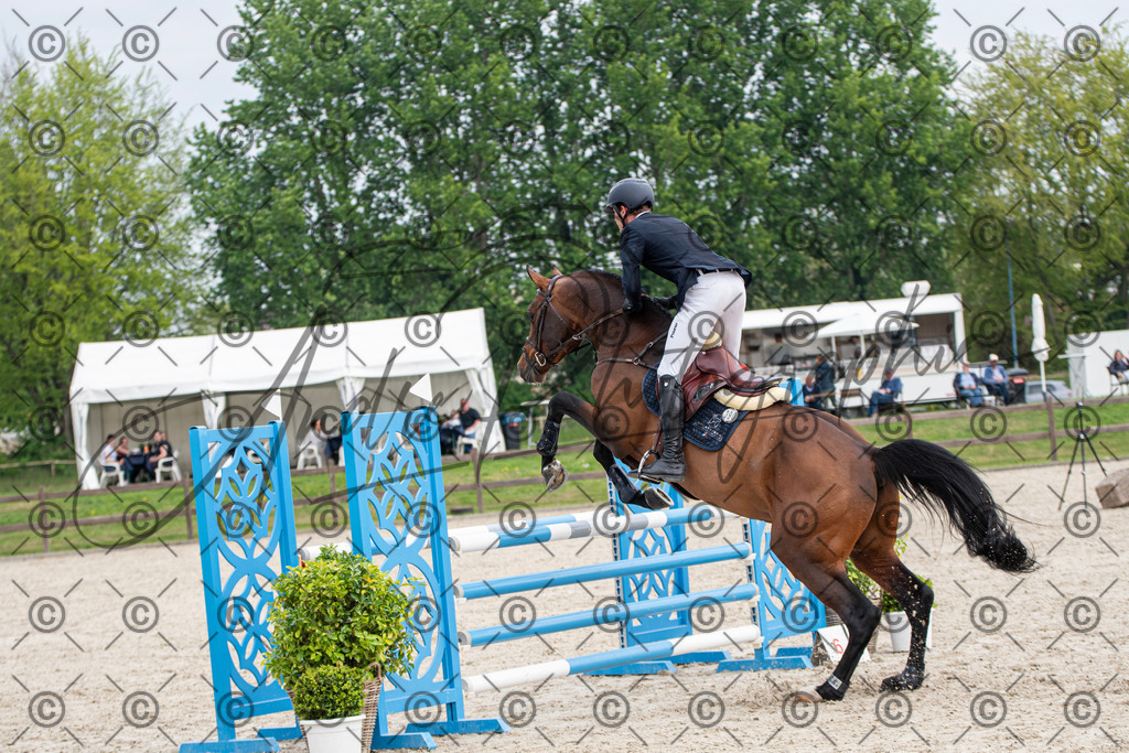 KPT_3174 | andre_photographic