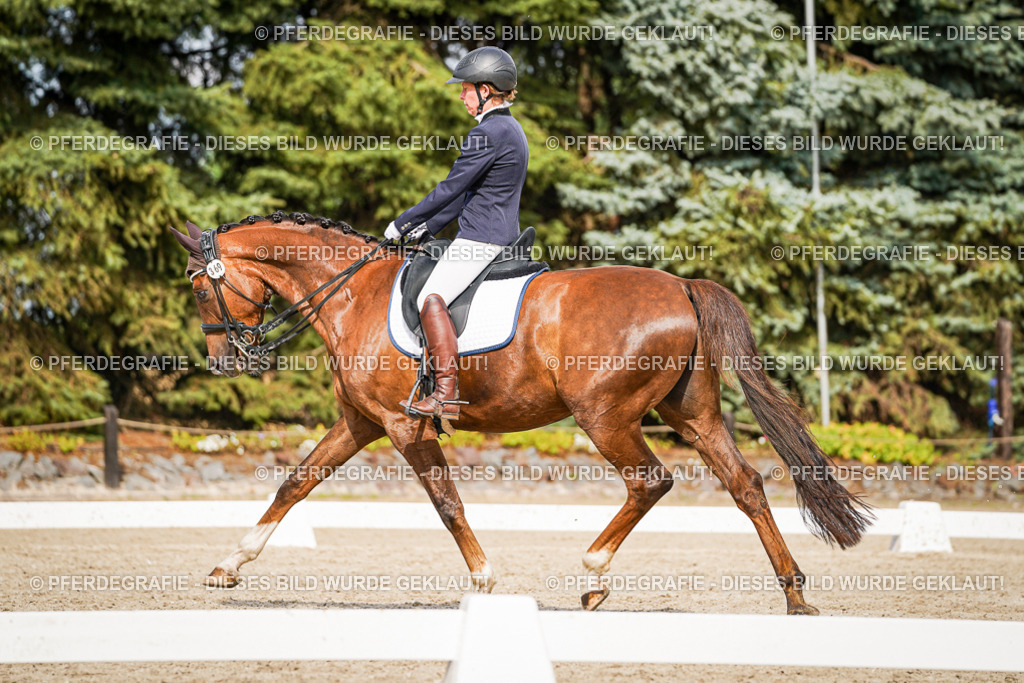 DSC06946 | Pferdegrafie