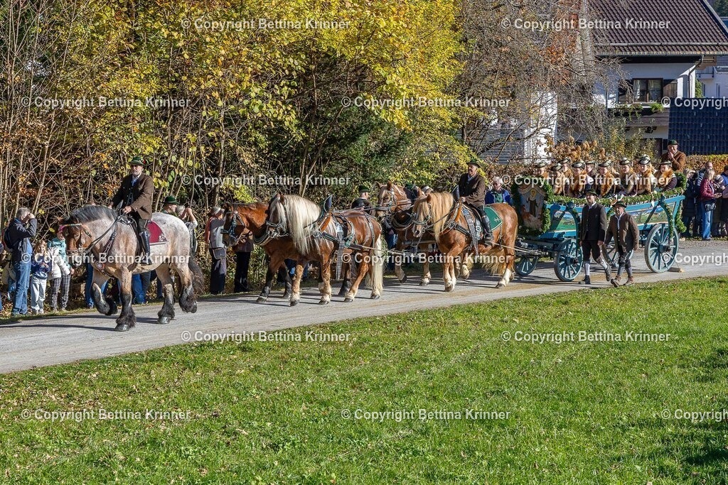 LBT25-834 | foto-bettina-krinner - Realisiert mit Pictrs.com