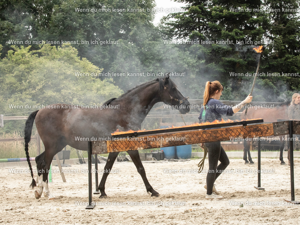 598A7877 | photographylinaismer - Realisiert mit Pictrs.com