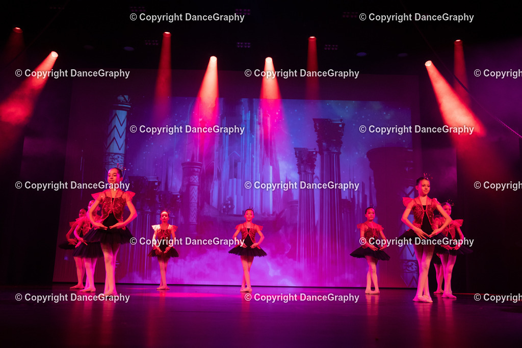 GPHY3241 | DanceGraphy - Realisiert mit Pictrs.com