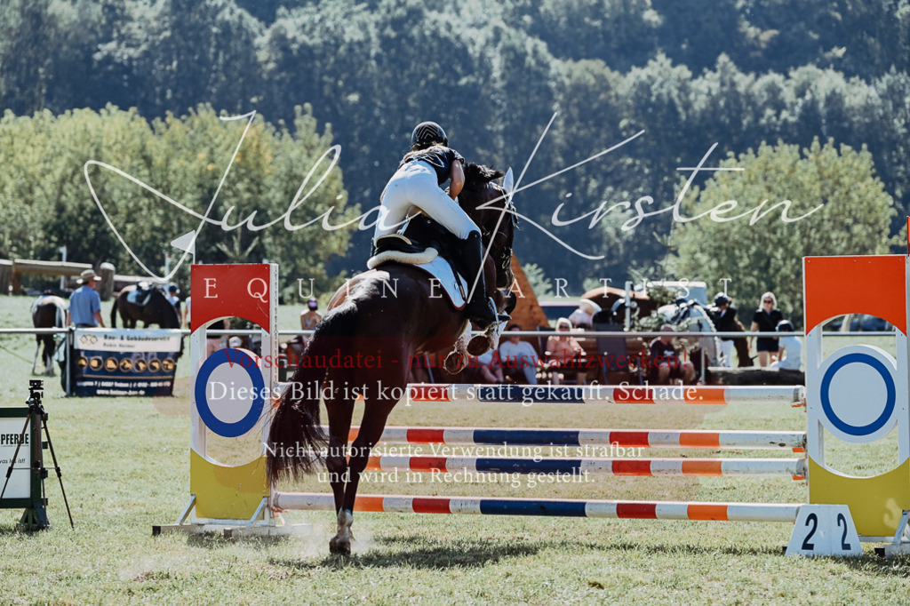 DSC_5847 | Pferde- und Turnierfotografie in Westsachsen. Pferdeportraits, Auftragszeichnungen und intuitive Kunst.