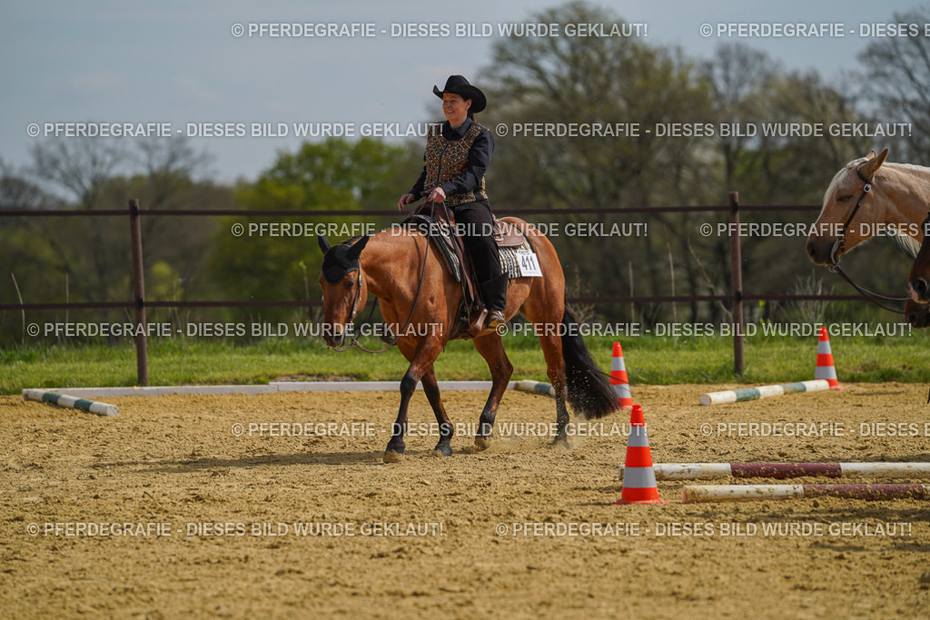 DSC04203 | Pferdegrafie