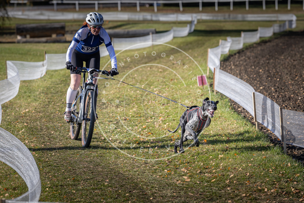 CaniXpix_DV3A6543 | Hundefotografie, Tierfotograf, Pfotenfotografie, Fotoshooting Hund, Hunde Portrait, Hundesport, Hundeportraits, Heideshooting, Hunde, Sportfotograf, Hundefotograf, Turnierhundsport, THS,  - Realisiert mit Pictrs.com