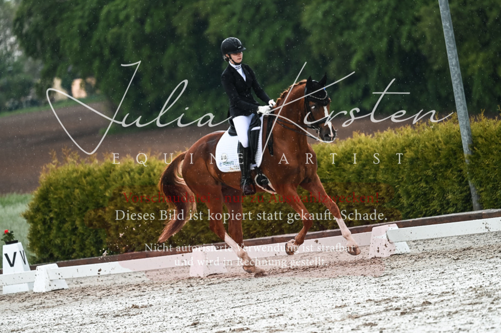 DSC_4304 | Pferde- und Turnierfotografie in Westsachsen. Pferdeportraits, Auftragszeichnungen und intuitive Kunst.