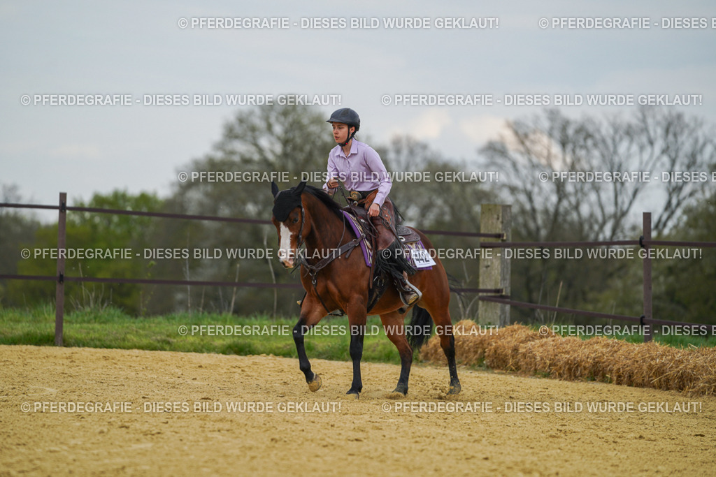 DSC07005 | Pferdegrafie