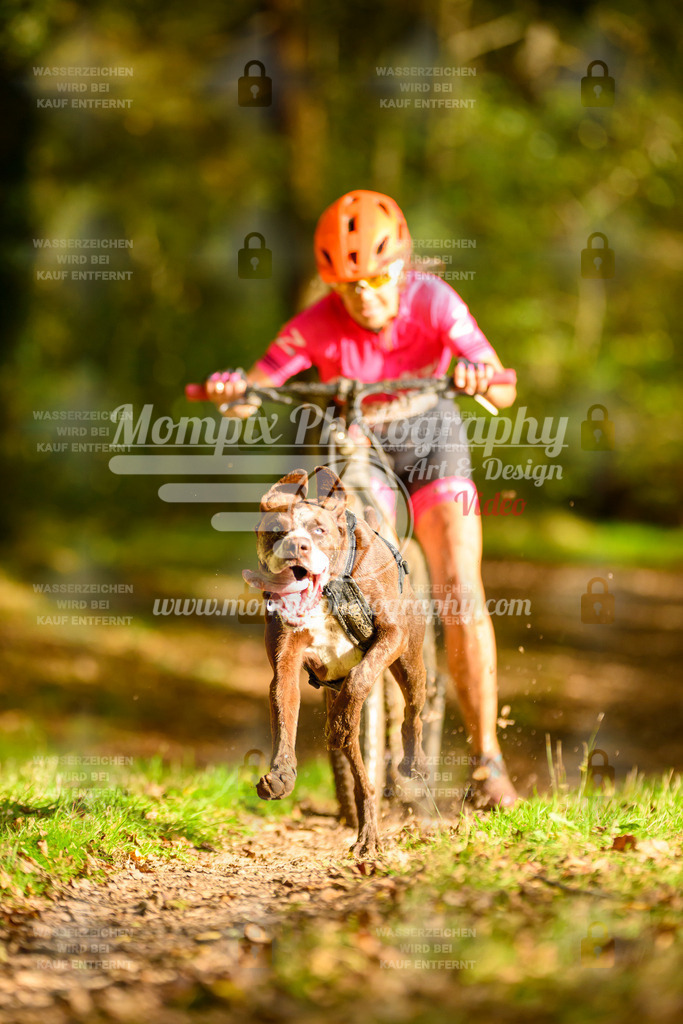 MompixPhotography_20TSB_E1_DS1-17 | PayLife