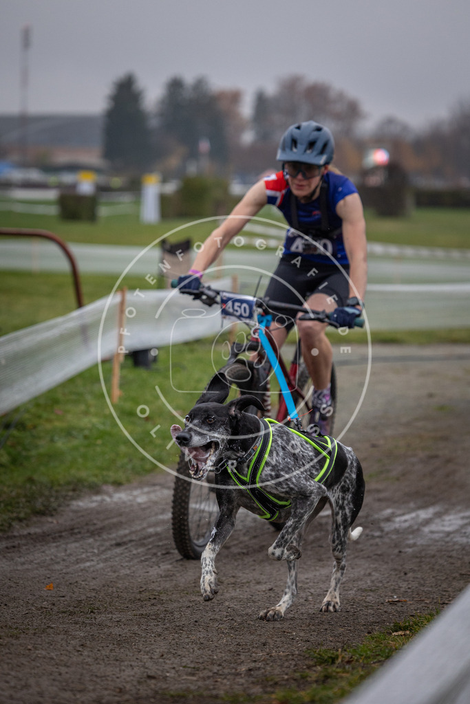 CaniXpix_0L8A1663 | Hundefotografie, Tierfotograf, Pfotenfotografie, Fotoshooting Hund, Hunde Portrait, Hundesport, Hundeportraits, Heideshooting, Hunde, Sportfotograf, Hundefotograf, Turnierhundsport, THS,  - Realisiert mit Pictrs.com