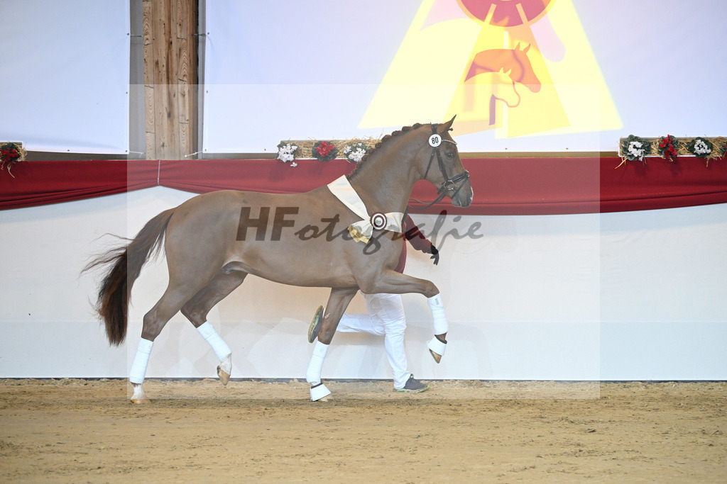 Kat-Nr. 80 Viva Gold_Buergers_1232245 | hf-fotografie - Realisiert mit Pictrs.com