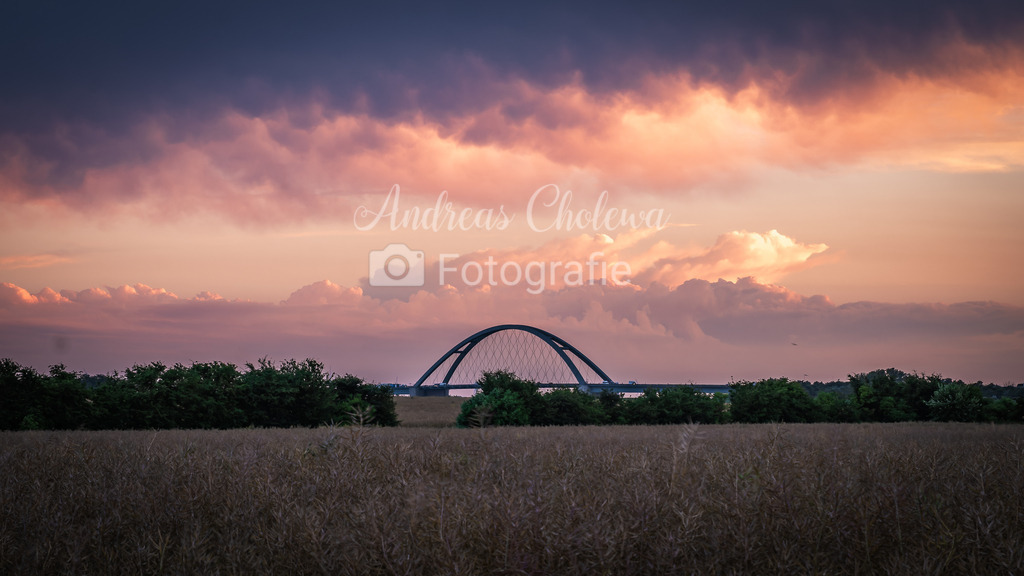 DSCF4177-RAF | Der Onlineshop für malerische Fotografien aus dem Landkreis Vechta✅ Premium Druck auf Leinwand✅ Acryl✅ oder Alu-Dibond✅➤Jetzt Bestellen! - Realisiert mit Pictrs.com