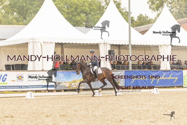 SW 4-1031 | mandyhollmannphotographie