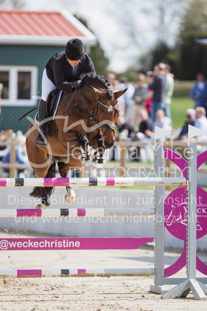 230501_SpengeW_M2St-129 | Deine schönsten Turniermomente als professionelle Fotos! Entdecke hochwertige Pferdesport-Fotografie im Online-Shop. Jetzt Fotos finden & bestellen!