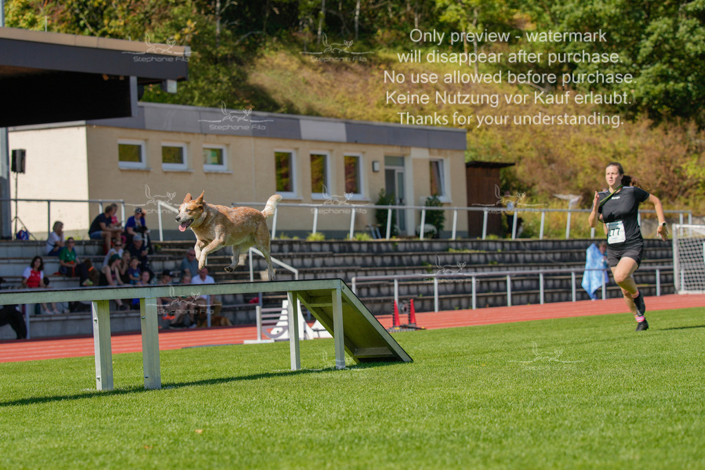 Sonntag_VK Hindernis (525 von 671) | stephaniefillaphotographie - Realisiert mit Pictrs.com