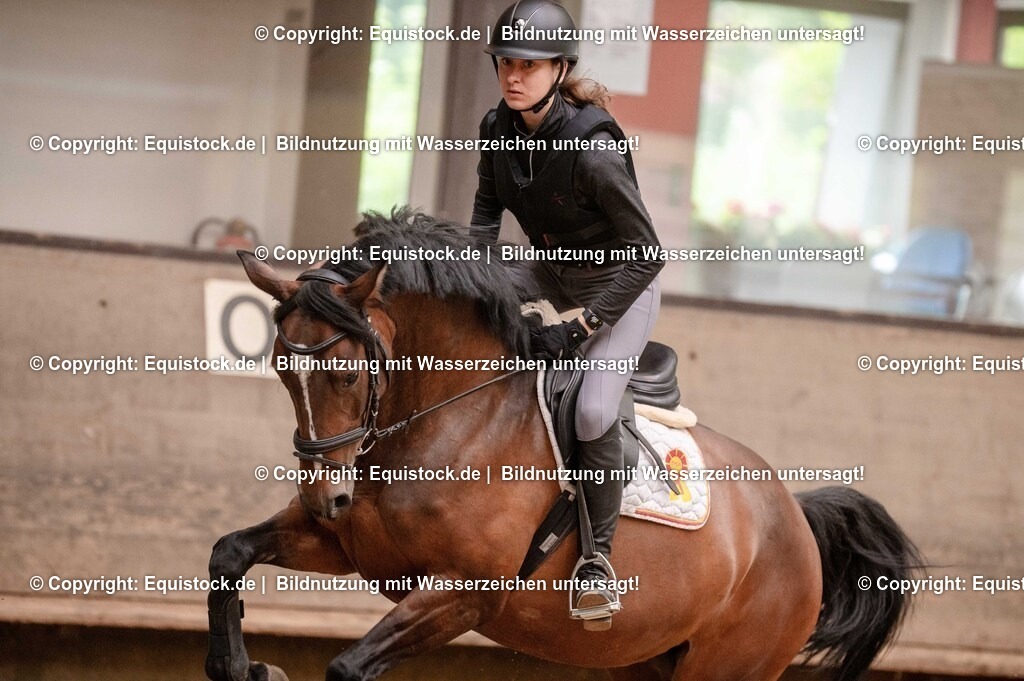 20250725_Vielseitigkeitslehrgang-Marbach_0638 | Foto: Thomas Hartig