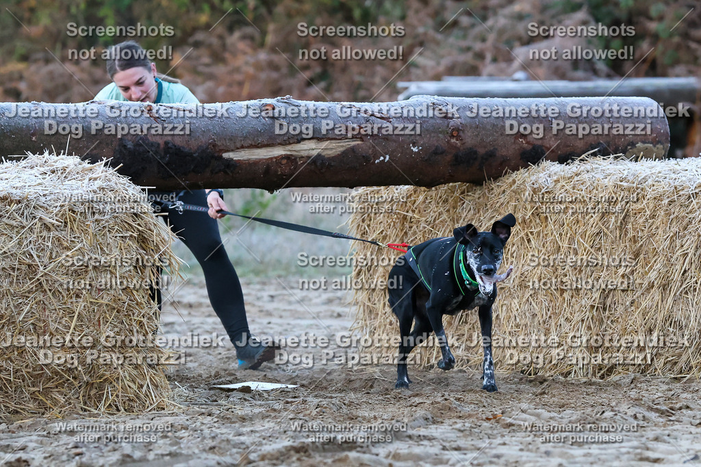 Dog Paparazzi - Strongdog 10-25-127 | Dog Paparazzi Jeanette Grottendiek Fotografie & Videografie - Realisiert mit Pictrs.com