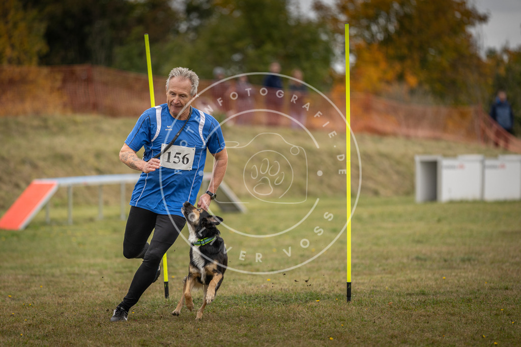 Pfotenfotografie_DV3A6536 | Hundefotografie, Tierfotograf, Pfotenfotografie, Fotoshooting Hund, Hunde Portrait, Hundesport, Hundeportraits, Heideshooting, Hunde, Sportfotograf, Hundefotograf, Turnierhundsport, THS,  - Realisiert mit Pictrs.com