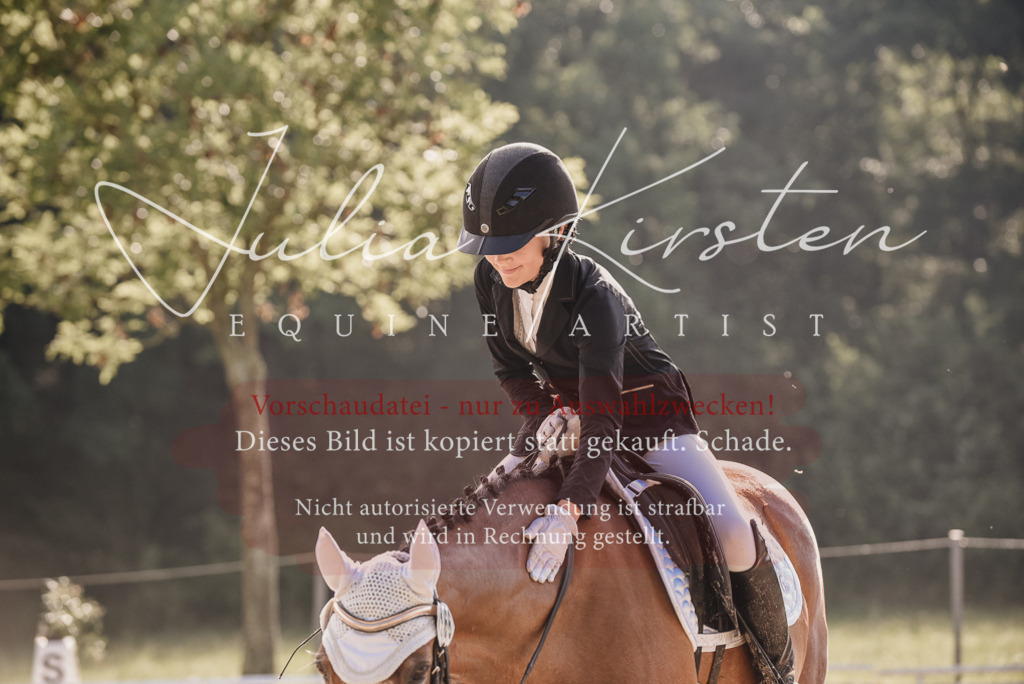 DSC_7896 | Pferde- und Turnierfotografie in Westsachsen. Pferdeportraits, Auftragszeichnungen und intuitive Kunst.