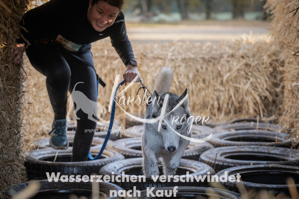 0953_ZZ95273 | kk-dogfotos