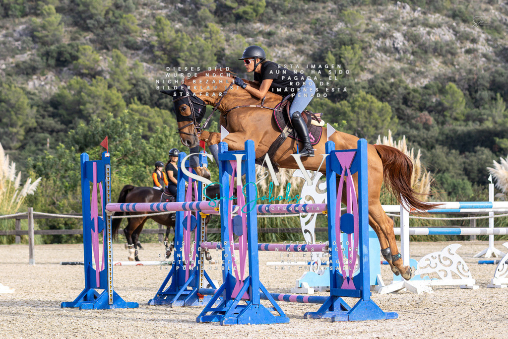 IMG_4463 | s-jay-photography - Realisiert mit Pictrs.com