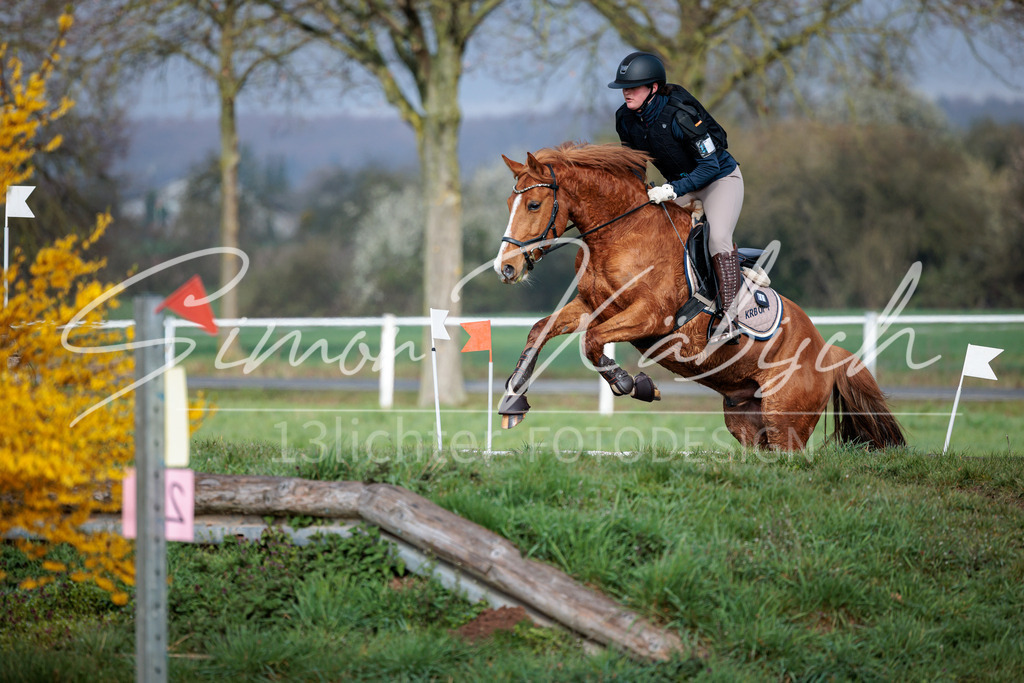 20260329-_3LI3393 | Tierfotografie Pferde, Hunde, Katzen, Haustiere.
Turnierfotografie Reitturniere, Reiten, Springreiten, Dressur in Hanau, dem Main-Kinzig-Kreis und dem Rhein-Main- Gebiet um Frankfurt