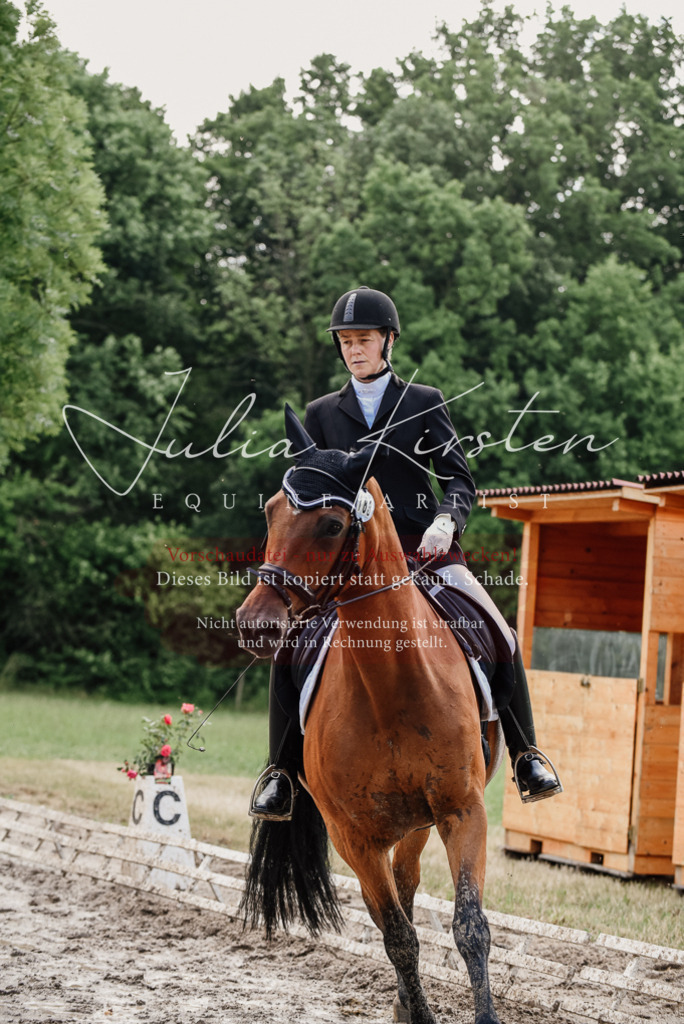DSC_9742 | Pferde- und Turnierfotografie in Westsachsen. Pferdeportraits, Auftragszeichnungen und intuitive Kunst.