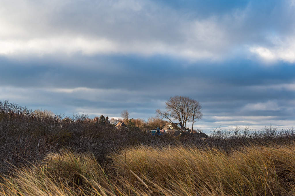 Düne und Haus an der Küste der Ostsee in Ahrenshoop auf dem Fischland-Darß | Düne und Haus an der Küste der Ostsee in Ahrenshoop auf dem Fischland-Darß.