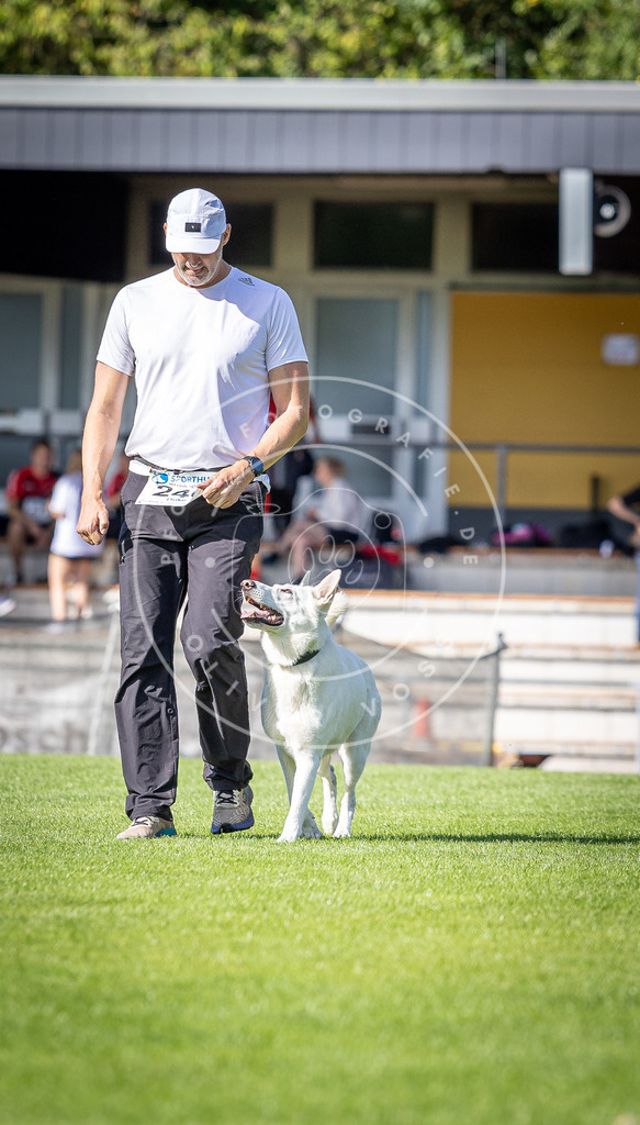 Pfotenfotografie_DV3A4946 | Hundefotografie, Tierfotograf, Pfotenfotografie, Fotoshooting Hund, Hunde Portrait, Hundesport, Hundeportraits, Heideshooting, Hunde, Sportfotograf, Hundefotograf, Turnierhundsport, THS,  - Realisiert mit Pictrs.com